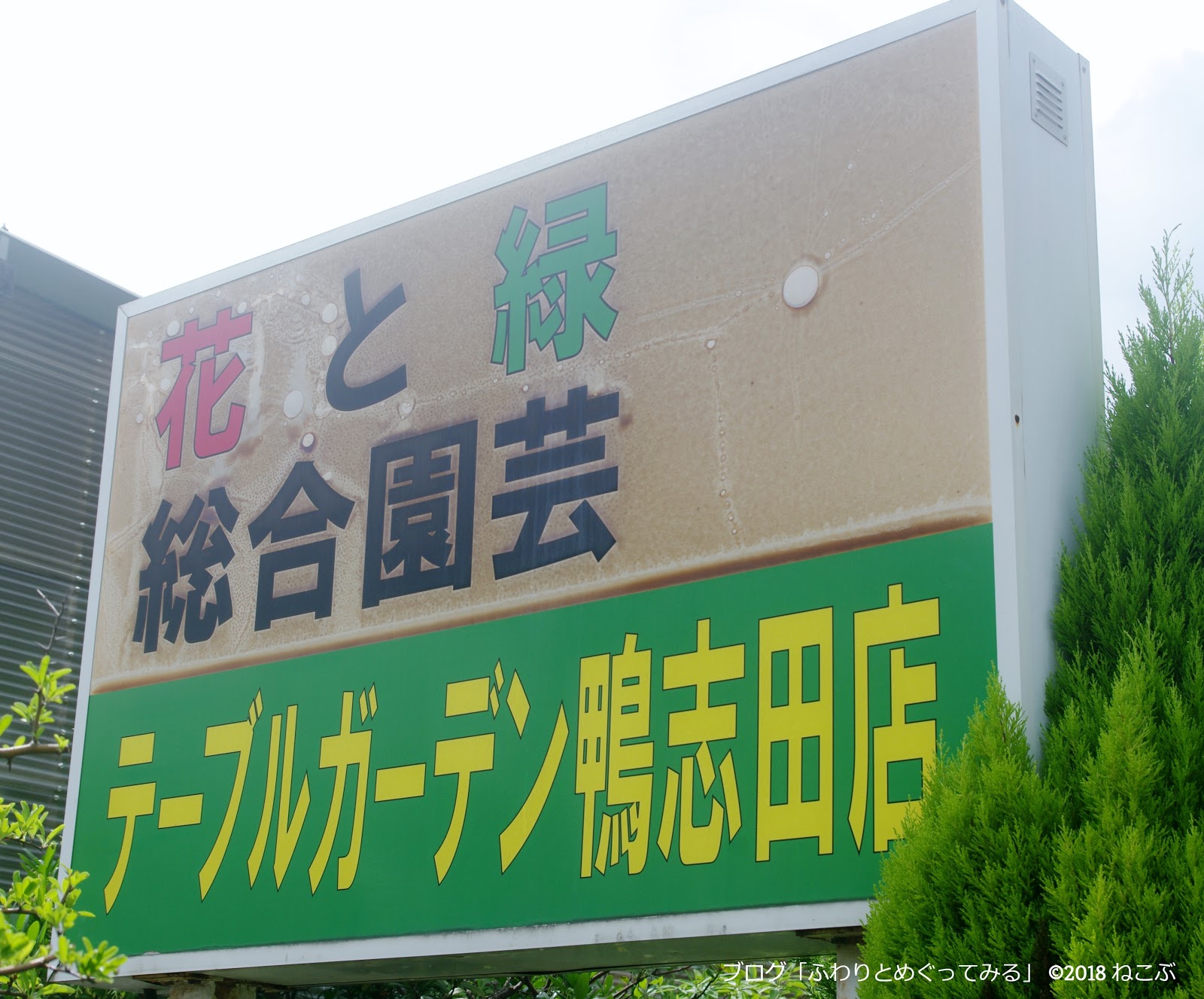 ふわりとめぐってみる 鴨志田町のバス通りを散歩しました （横浜・青葉区）