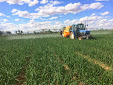 Amazone_UX4200trailedfield_sprayer