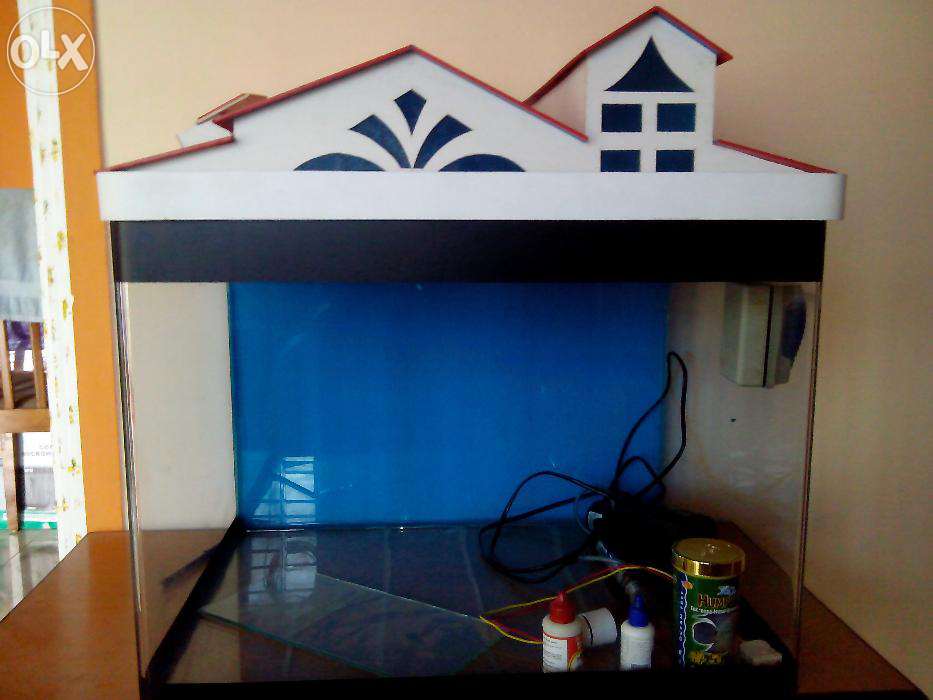 View Rumah Barbie Dari Triplek Pics