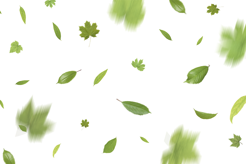 Best 10 Falling Leaves Overlays for Free Download Free