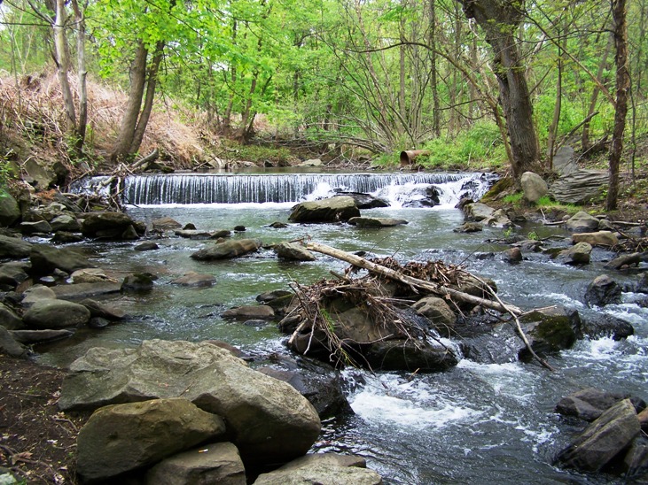 Frank's Place Stafford Meadow Brook