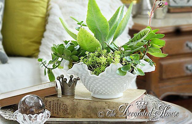 The Decorated House : Decorating with Milk Glass & Succulents
