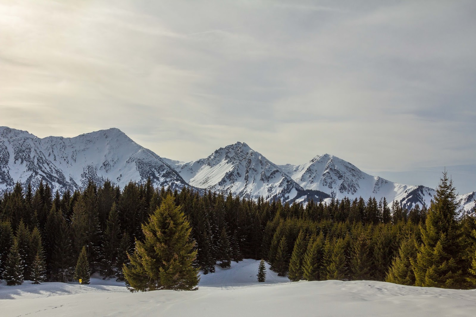 Bma Wanderung Rund Um Den Vilsalpsee Wandern Tannheimer Tal
