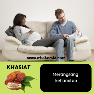 KHASIAT BUAH KURMA