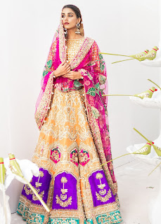 Mayun Mehendi Lehenga Collection Pink Color Embroidered Gold Work