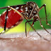 Ya son más de 26 mil los contagiados por dengue en el país