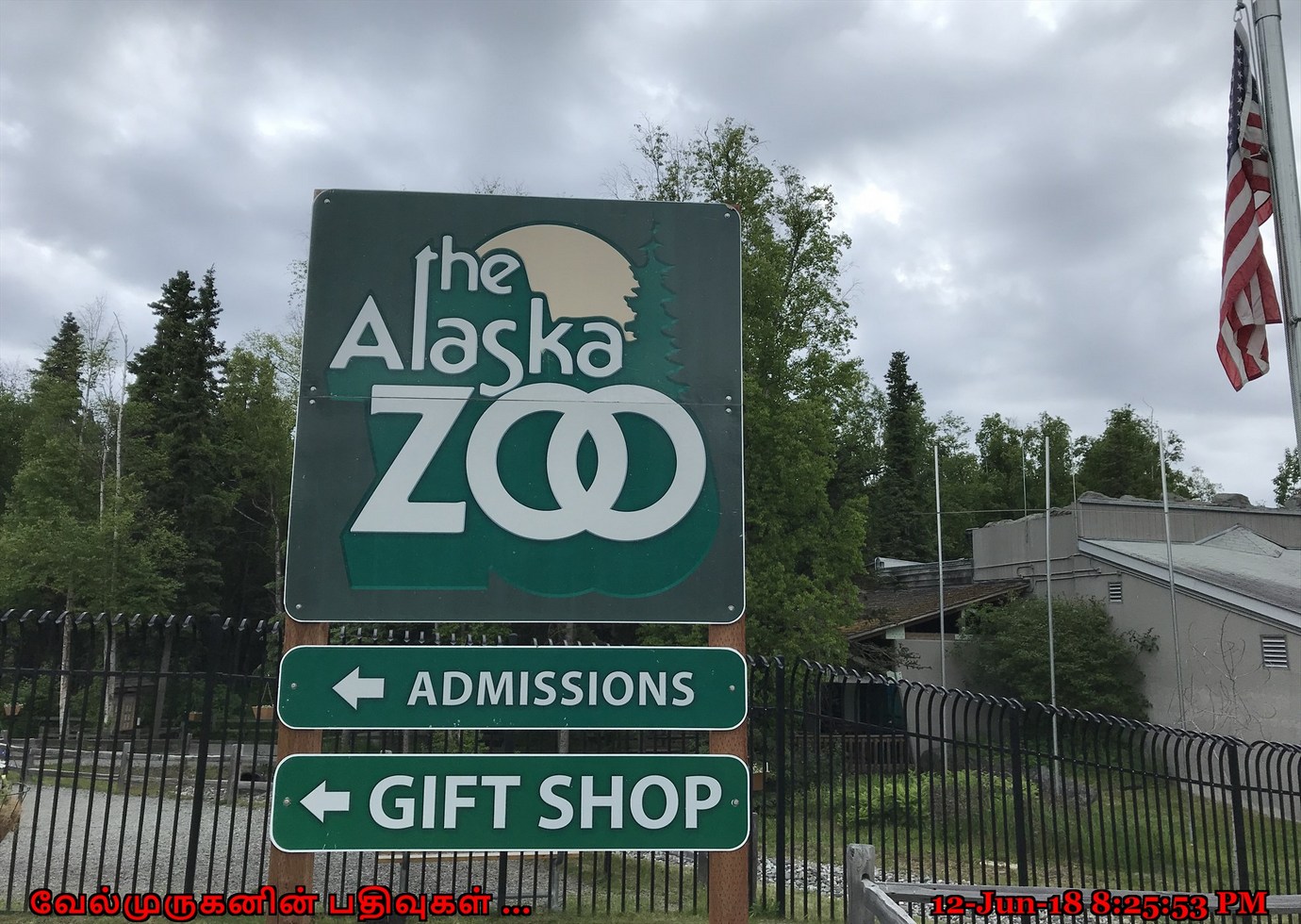 The Alaska Zoo Anchorage Exploring My Life