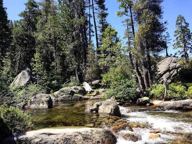 Creek by Horsetail Falls Hike