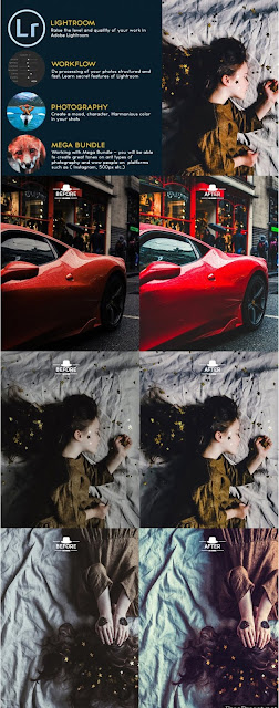 تحميل 1000+ Lightroom Presets - أفضل حزمة لبرنامج لايت روم الشهير تحميل 1000+ Lightroom Presets - أفضل حزمة لبرنامج لايت روم الشهير