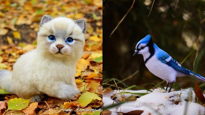 Super Realistic toys that look just like real animals!