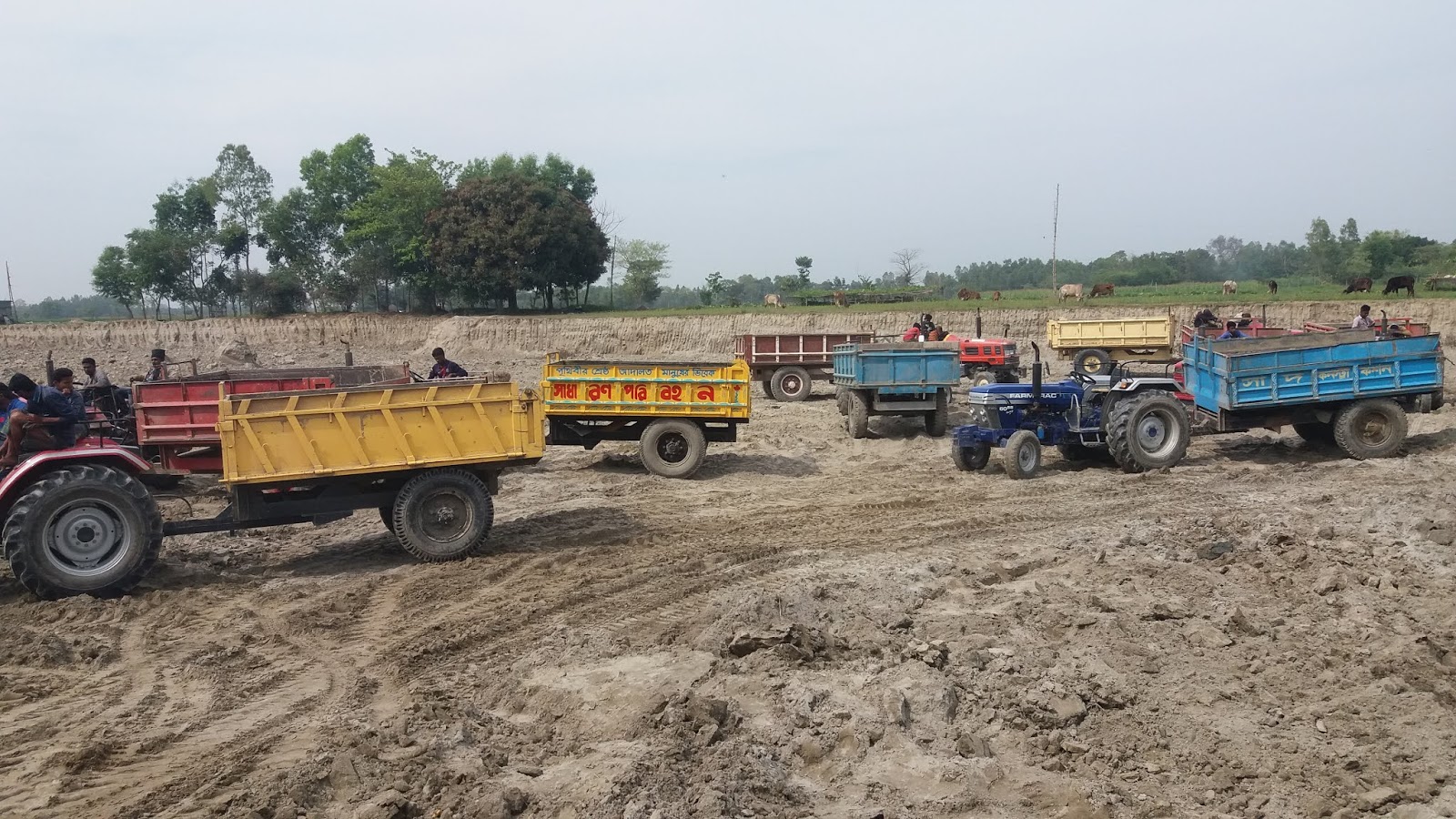 Santo Khan Machinery YANMAR harvester price in Bangladesh