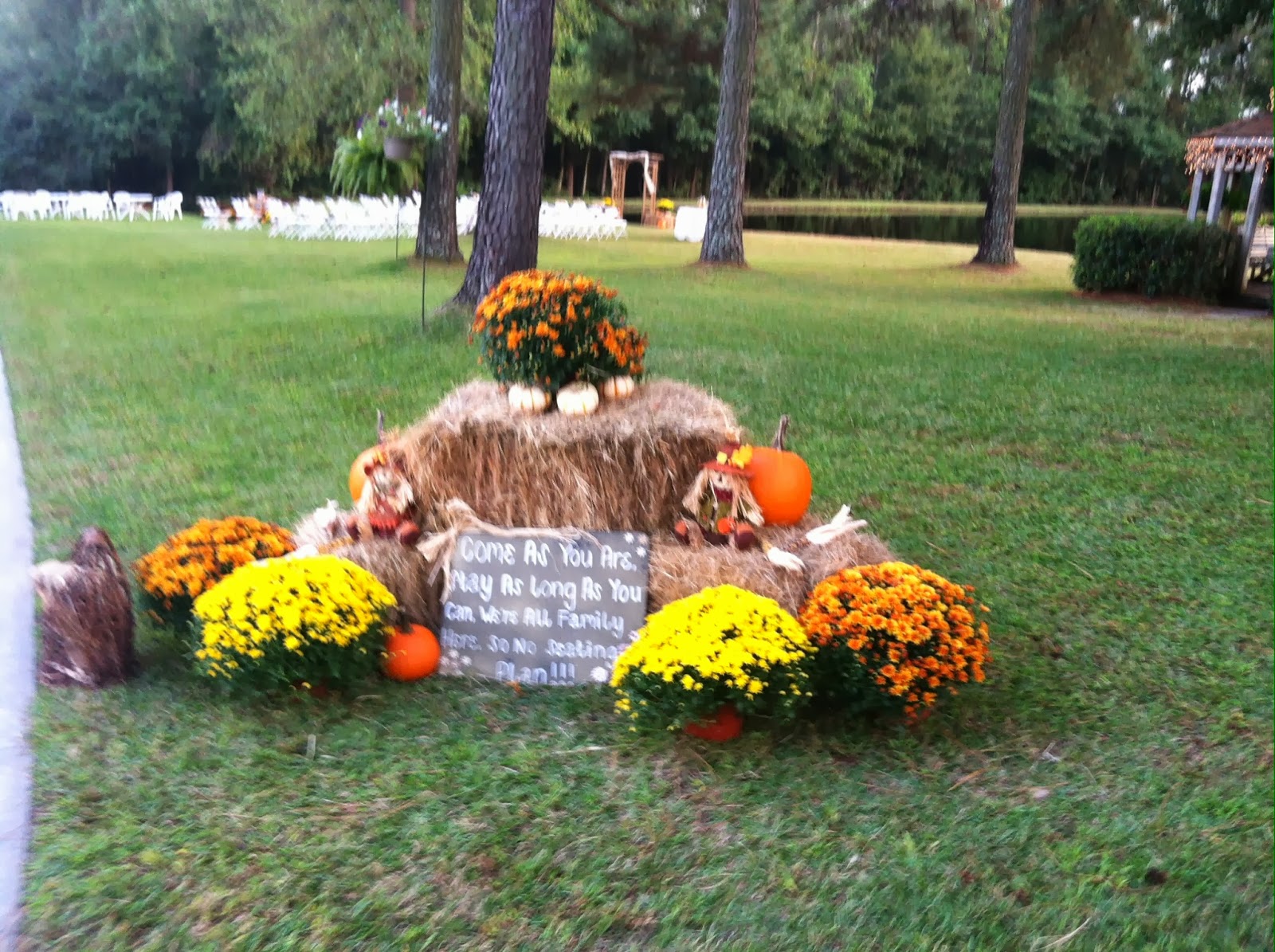 эссе за 7 класс по истории эссе за 7 класс по истории