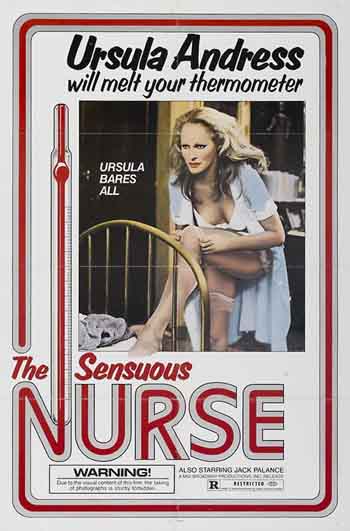 The Sensuous Nurse 1975 480p 300MB BRRip Hindi Dubbed Dual Audio