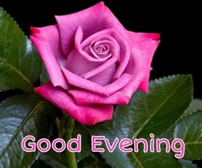 Good evening Images | Best 25+ Good evening Images Good evening Images | Best 25+ Good evening Images