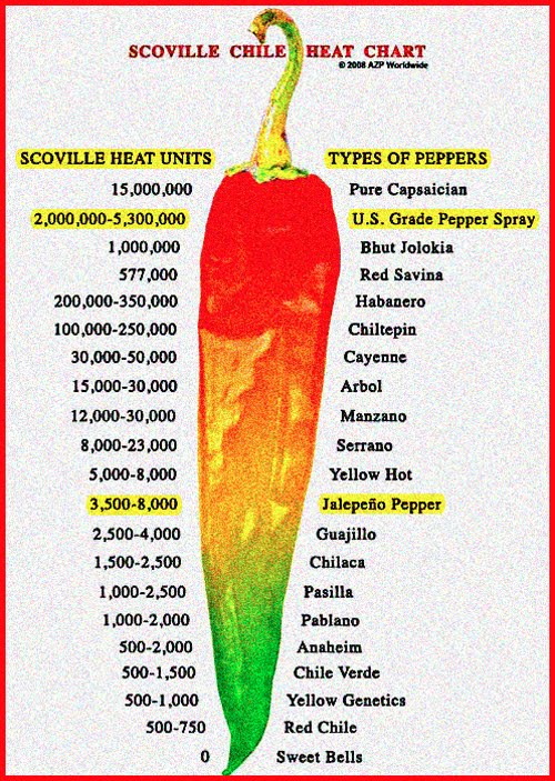 scoville heat unit chart - Focus