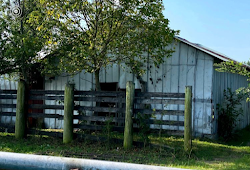 Scenes from the Homestead