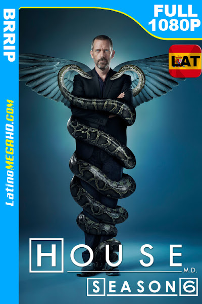 House, M.D. (Serie de TV) Temporada 6 (2009) Latino HD FULL 1080P (2009)