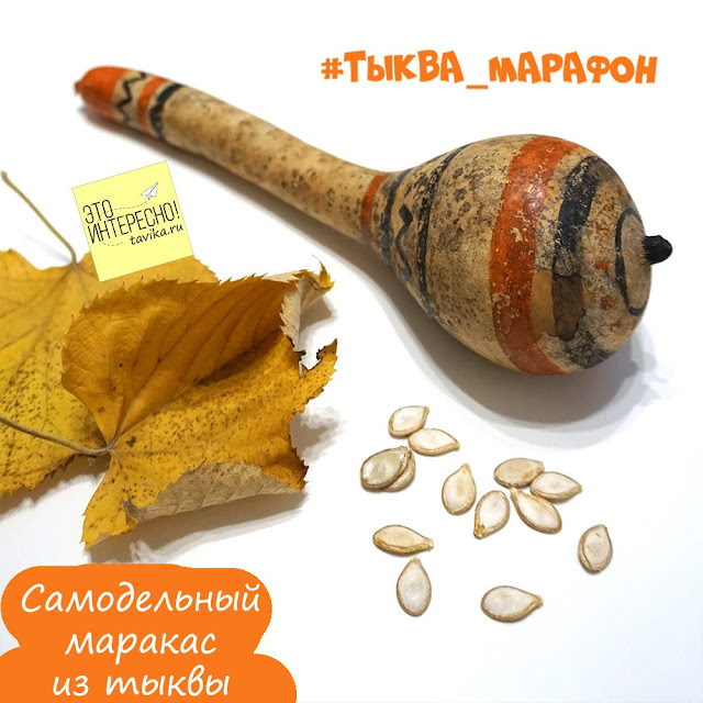 как сделать из тыквы маракас маракас из тыквы