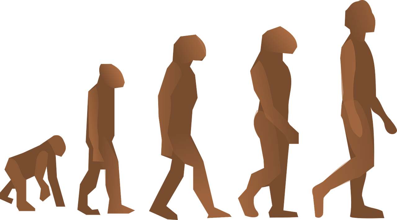 Impact of Evolution On Human Existence