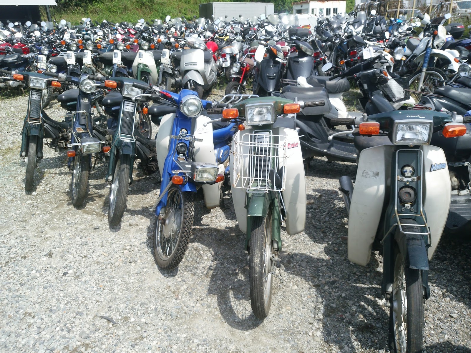 moto yamaha v 50