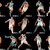 Charlotte Hornets Updated Full body portraits v2.22 by raul77