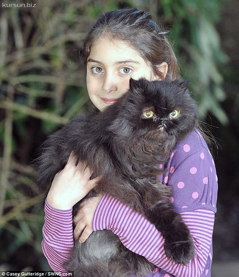 Bir tık kadar yakınında İki Ayaklı Kedi