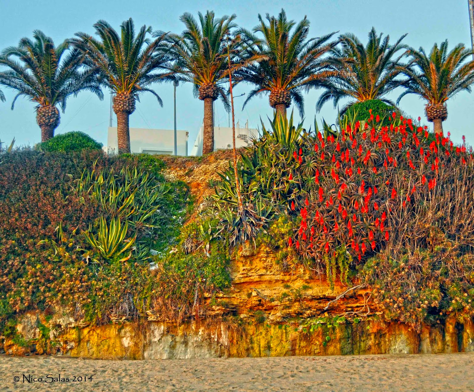 Foto del Día 9 de Octubre 2014