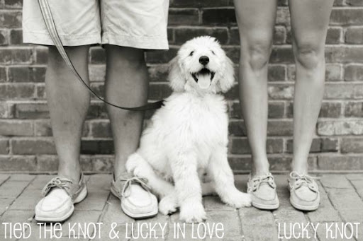 lucky knot {our happily ever after blog}