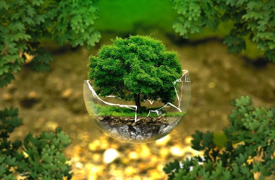 EVS Project Topics 35 50 Www overallenglish11n12 in evs-project-topics-35-50-www-overallenglish11n12-in