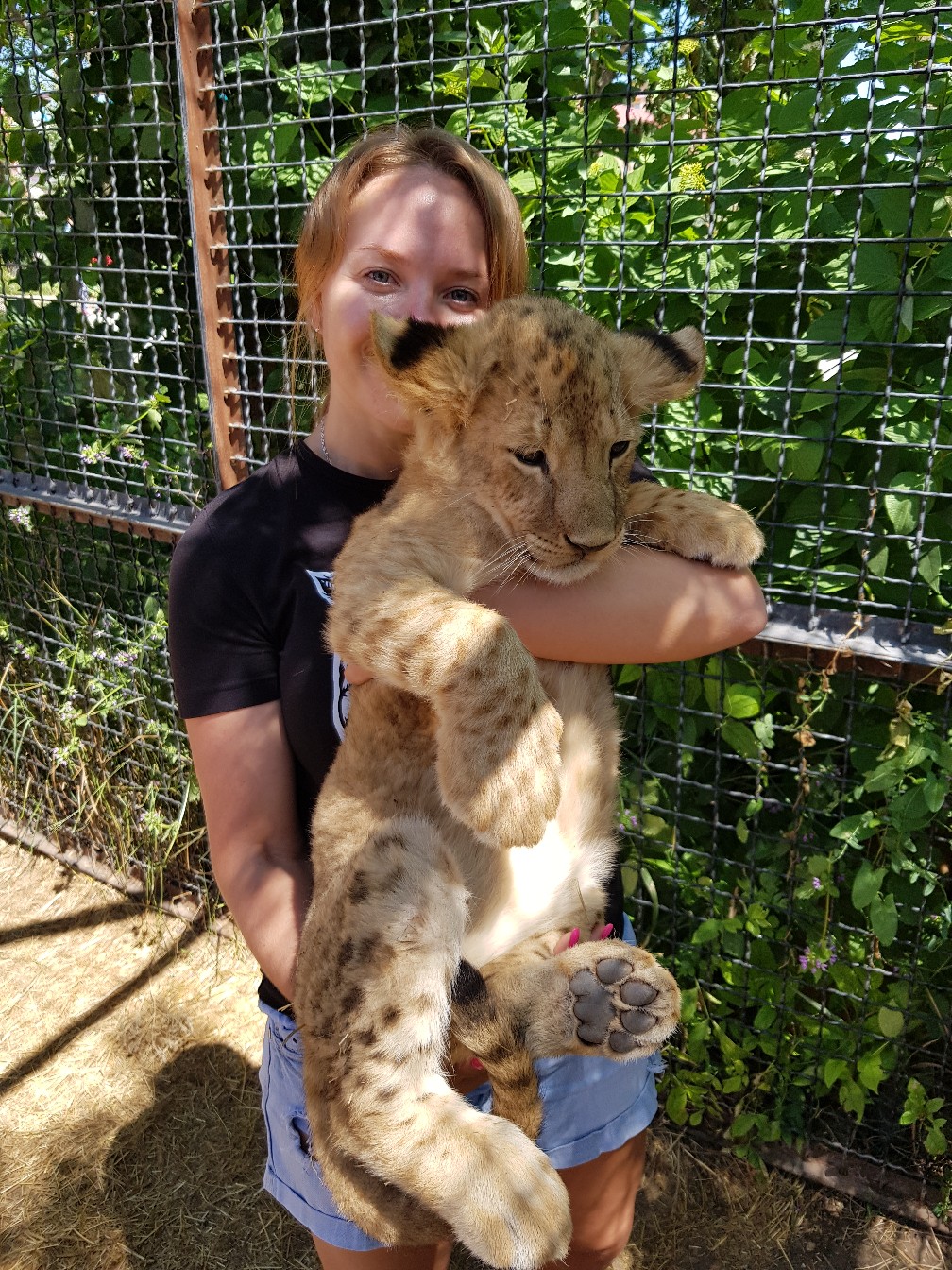 тайган сафари львята. парк львов тайган львята. тайган сафари львята. парк львов тайган. парк львов тайган львята.