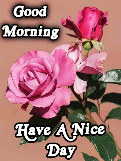 Good Morning Images For Whatsapp Good Morning Images For Whatsapp