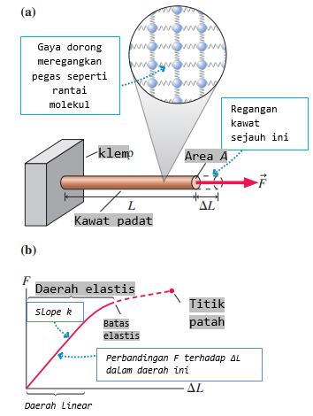 Fisika Elastisitas Fisgur