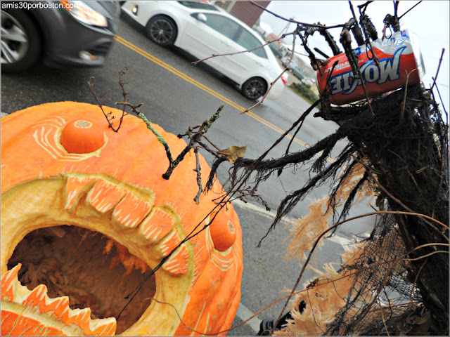 Calabazas Decoradas para Halloween: Monstruo Moxie