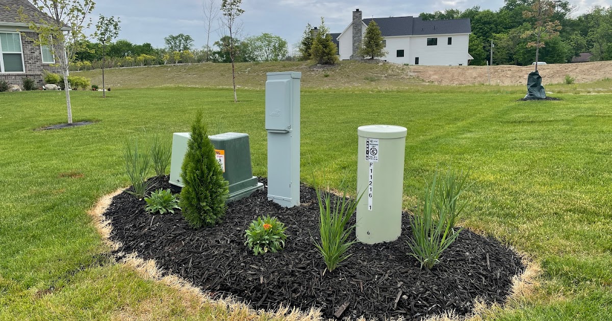 New Plants Around Utility Boxes [Backyard Neophyte Landscaping Blog]