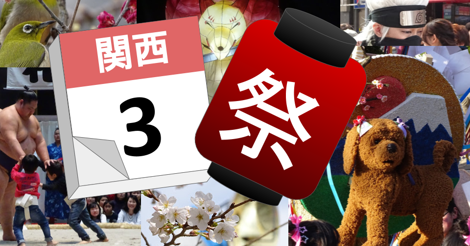 The Pokemon Blog Pokemon Blog