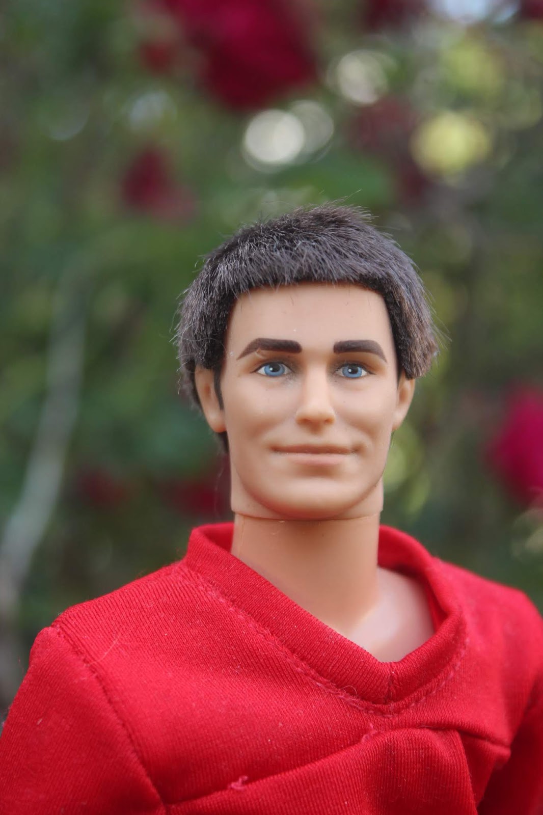 accessory for a 40th anniversary ken doll