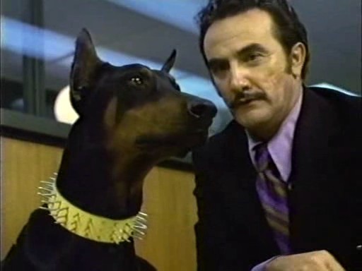 The Doberman Gang - Wikipedia