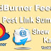 FeedBurner Feed Me Post Link Summary Show Kaise Kare