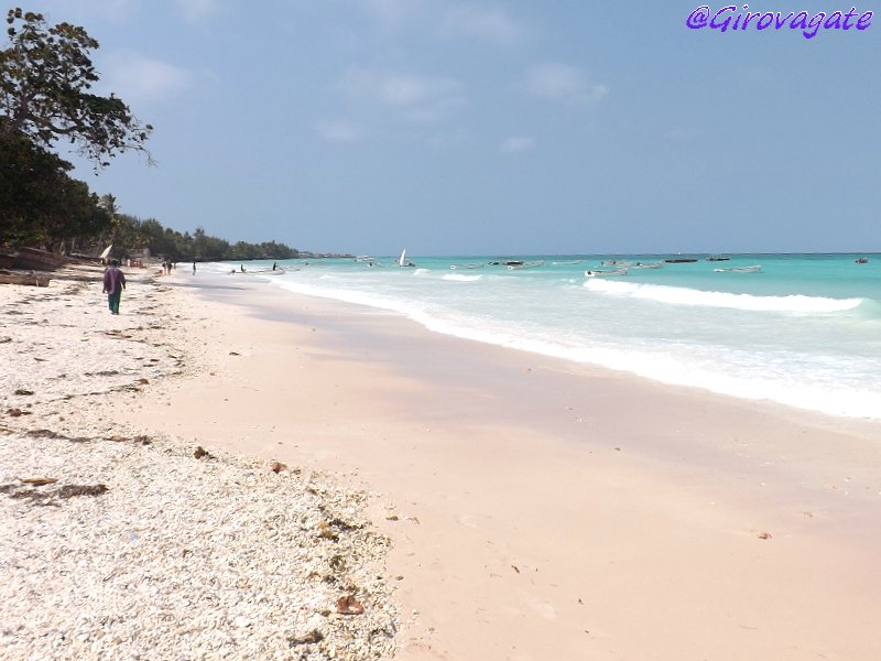 delfini Zanzibar Kizimkazi