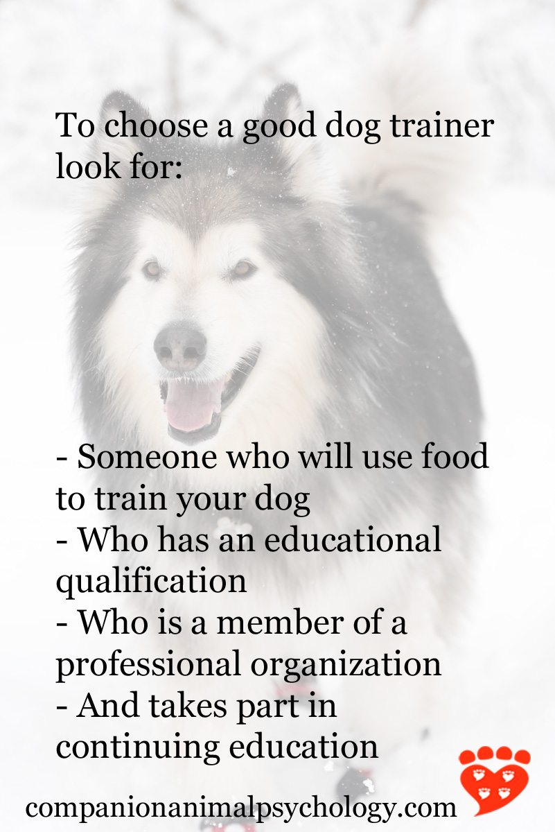 how to professionally train a dog