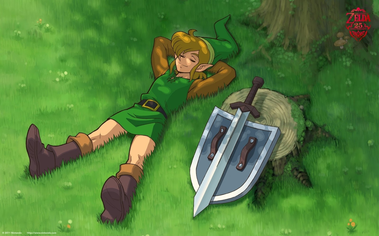 Furious Zelda Link Desktop Wallpaper - Zelda Wallpaper for Desktop