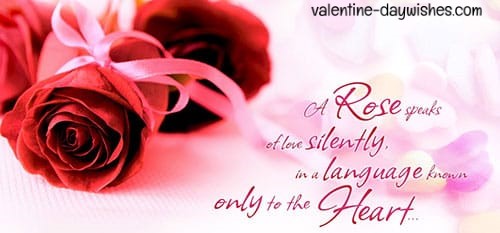 Rose day Images 2020 Rose day Images 2020
