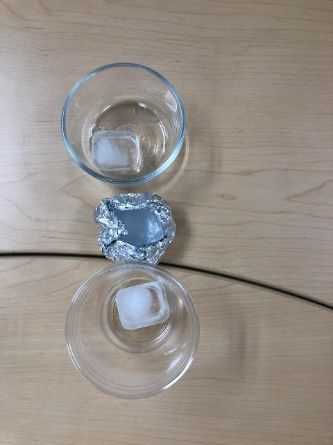 Planning and Carrying out an investigation