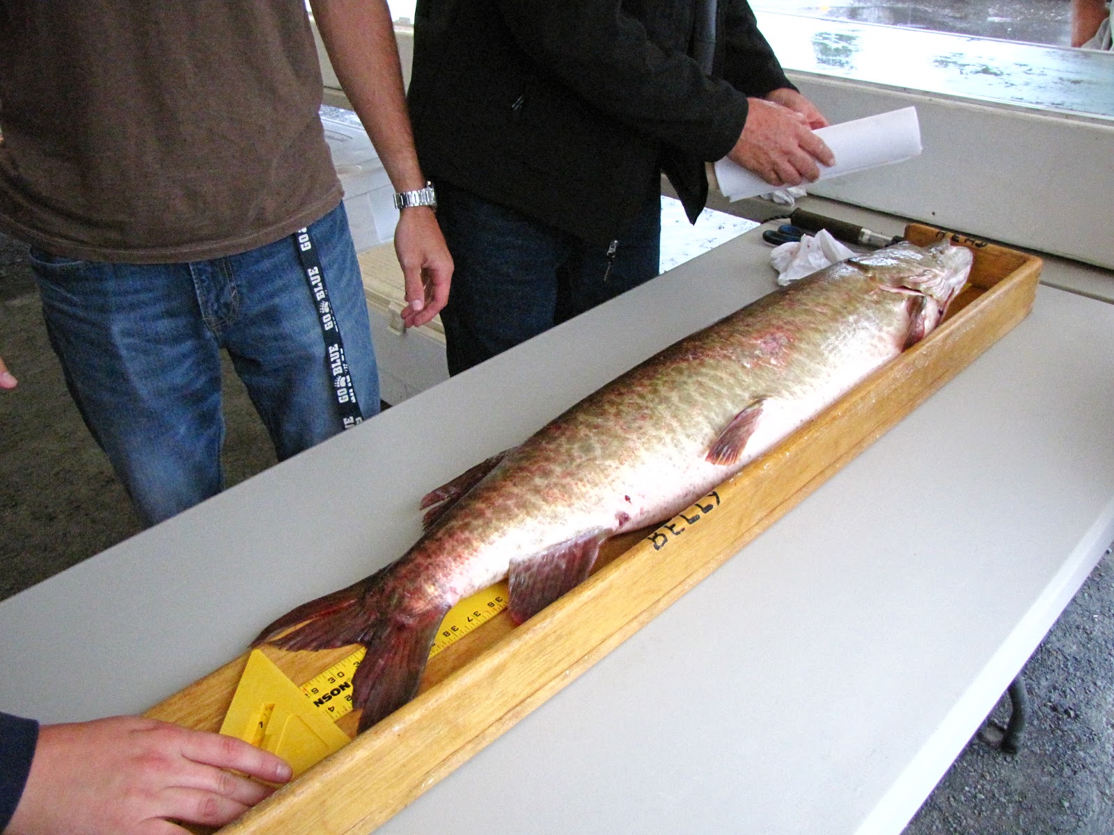 Northern Maine Ridge Runners and River Rats 9th Annual Fort Kent