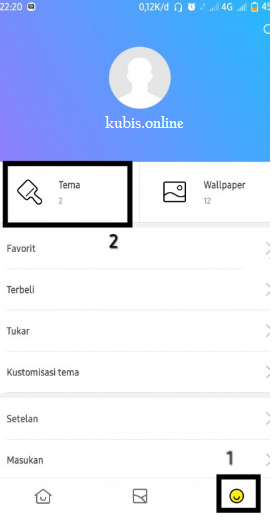3 Cara Pasang Tema Xiaomi MTZ MIUI 10, 11, 12 dan 13