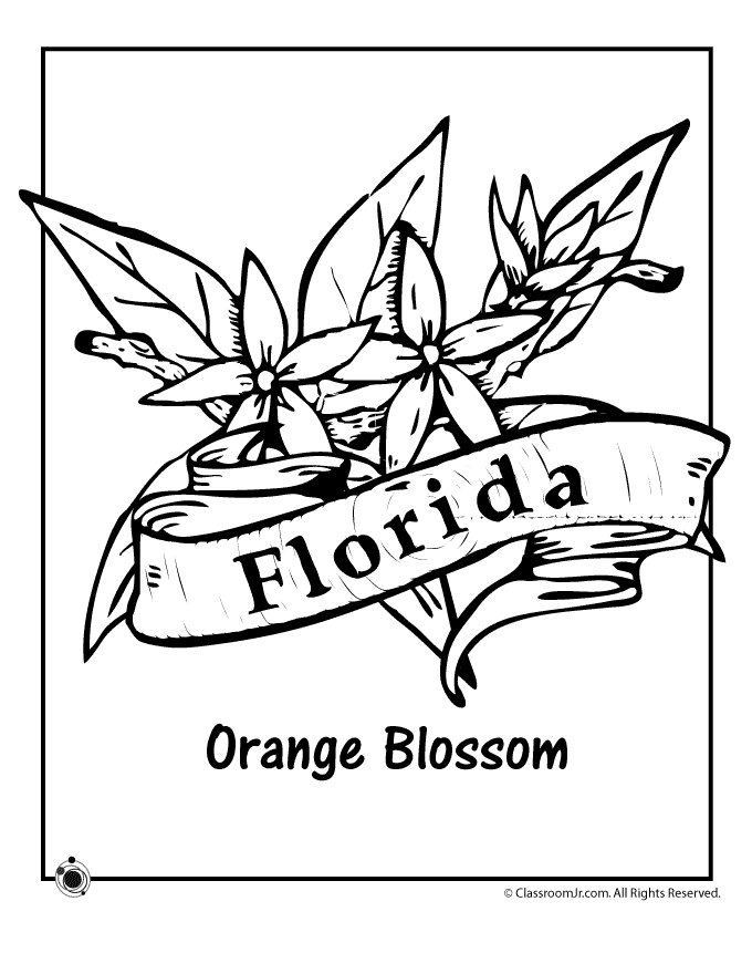 pennsylvania state flower coloring pages - photo #12