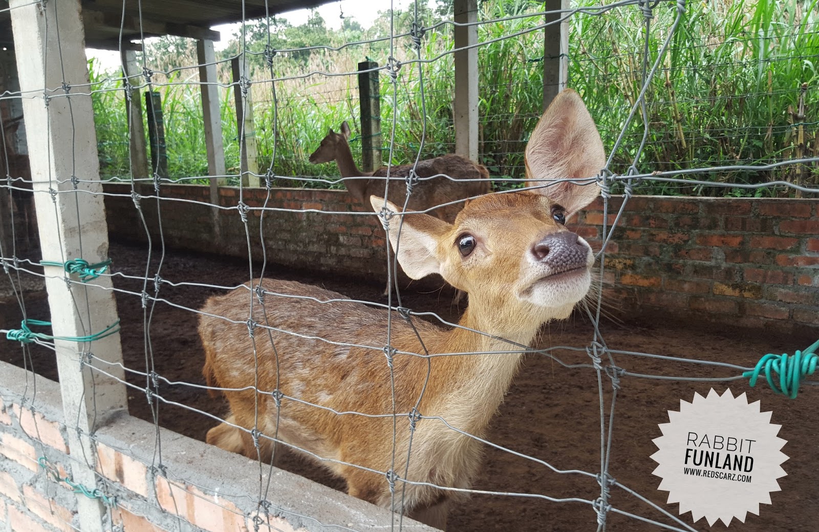 DAUS REDSCARZ: Rabbit Fun Land Broga berpindah ke Lenggeng, Negeri Sembilan