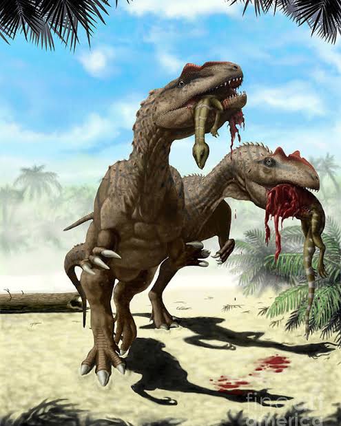 Dinosaurios Y Vida Prehistórica El Allosaurus El Terror Del Jurásico
