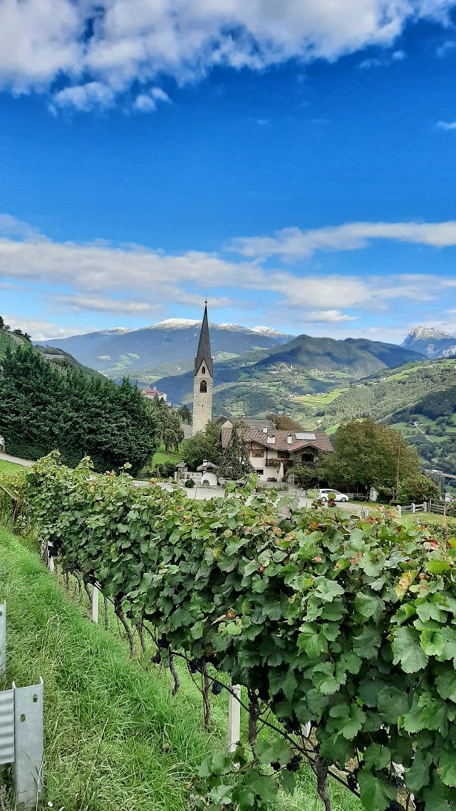 torggelen bolzano