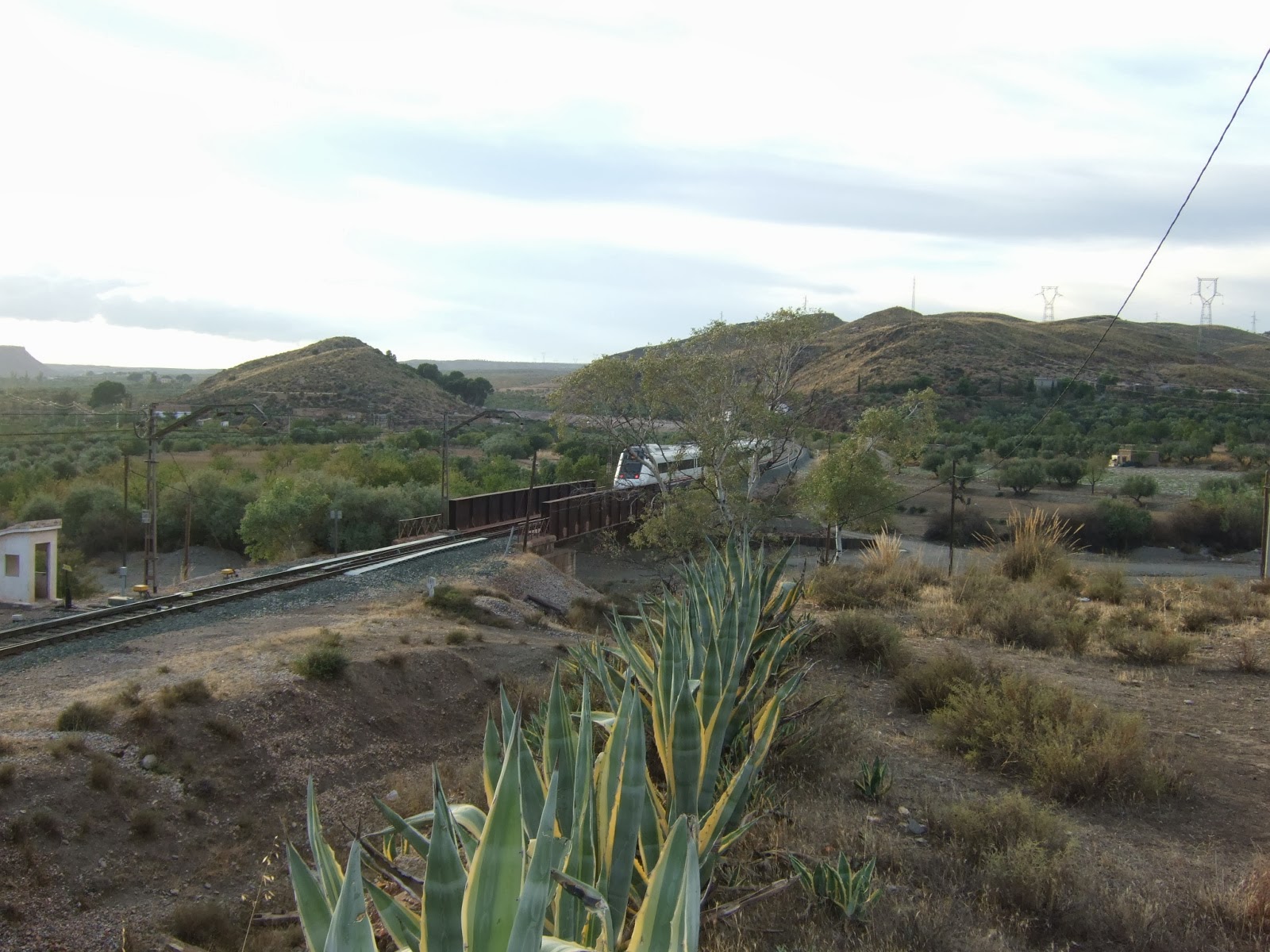 Huéneja y Fiñana lobersygalgs, de JLobo La Estación de Fiñana